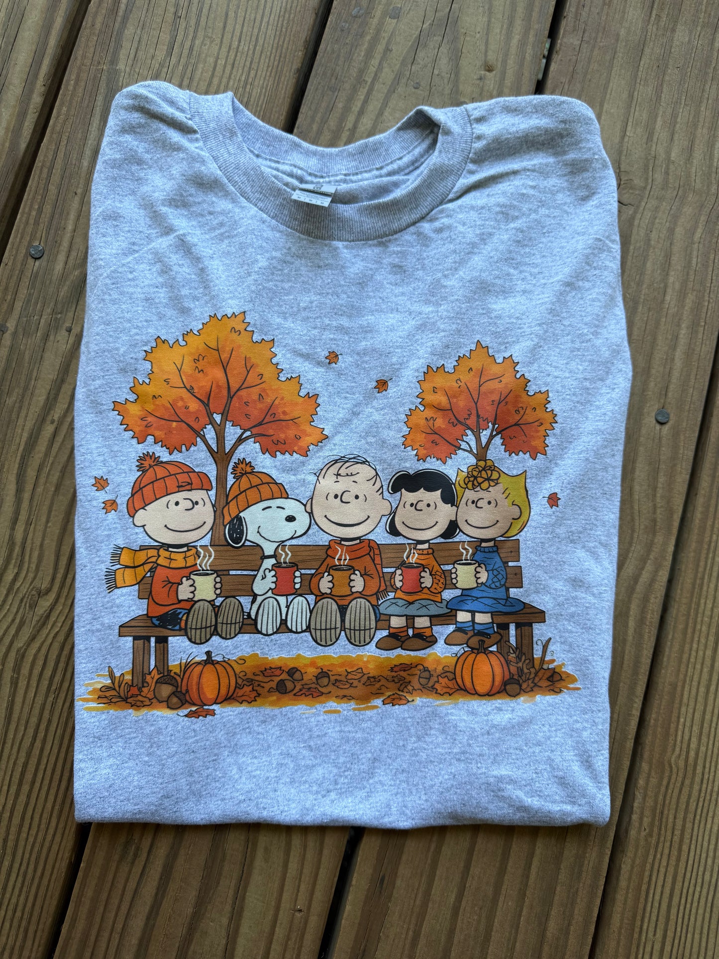 Medium- Peanuts Park Bench